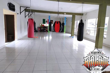 Imagen 2 de la galería del partner Academia Balam Boox