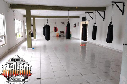 Imagen 3 de la galería del partner Academia Balam Boox