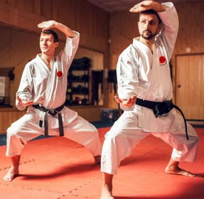 Image 4 from ESKA - Hethersett Old Hall Karate partner gallery