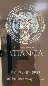 Imagem 4 da galeria do parceiro Aliança Muay Thai