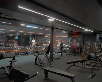 Imagen 5 de la galería del partner Mindfit El Bosque
