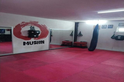 Imagen 1 de la galería del partner Mushin Dojo