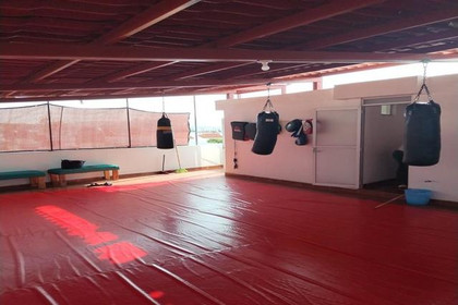 Imagen 3 de la galería del partner Mushin Dojo Bernalejo