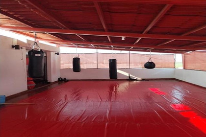 Imagen 4 de la galería del partner Mushin Dojo Bernalejo