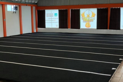 Imagen 3 de la galería del partner PHOENIX CHEER ACADEMY