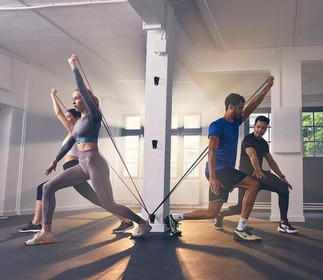 Bild 2 von Harmonic FIT Partnergalerie
