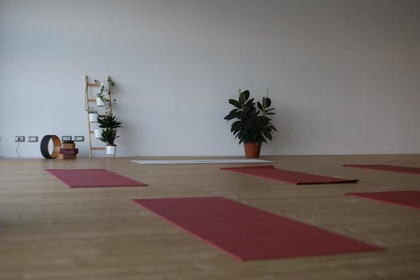 Immagine 4 dalla galleria del partner Yoga Suite Studio