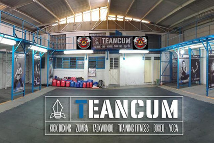 Imagen 1 de la galería del partner Teancum