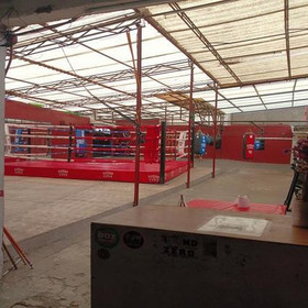 Imagen 5 de la galería del partner School Boxing Round Zero