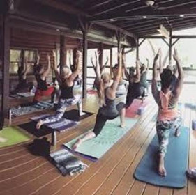 Image 3 from Lotus Pond Center for Yoga and Health partner gallery