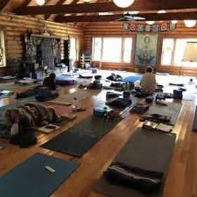 Image 5 from Lotus Pond Center for Yoga and Health partner gallery
