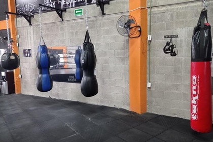 Imagen 3 de la galería del partner Box Arena Juriquilla