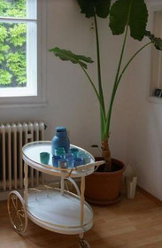 Bild 4 von ichhebediehaende yoga Partnergalerie