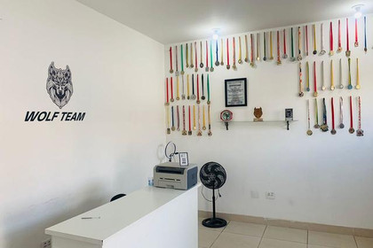 Imagem 2 da galeria do parceiro Centro de Artes Marciais Wolf Team