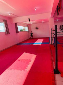 Imagem 3 da galeria do parceiro Centro de Artes Marciais Wolf Team