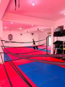 Imagem 4 da galeria do parceiro Centro de Artes Marciais Wolf Team