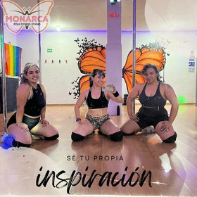 Imagen 4 de la galería del partner Monarca Pole Fitness Studio