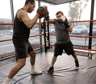 Image 4 from Title Boxing Pavilions partner gallery