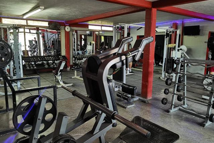 Imagen 1 de la galería del partner Gym Rex