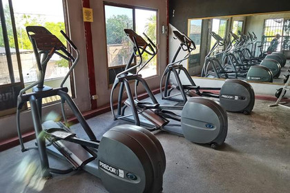 Imagen 5 de la galería del partner Gym Rex