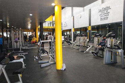Imagen 1 de la galería del partner Fox Gym Irapuato