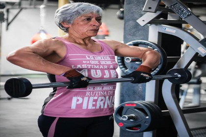 Imagen 4 de la galería del partner Fox Gym Irapuato