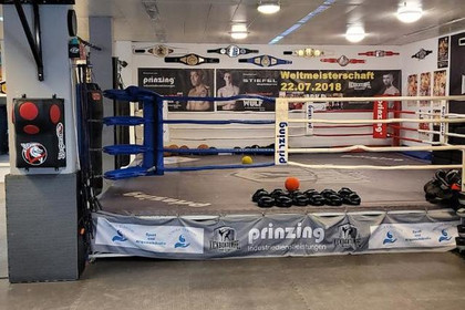 Bild 1 von Kickboxtempel Erkner Partnergalerie