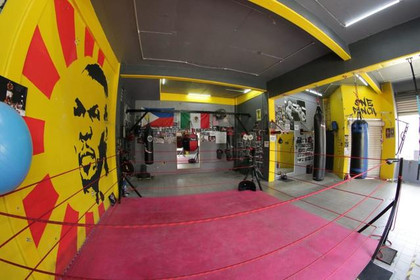 Imagen 1 de la galería del partner One Punch Club de Box