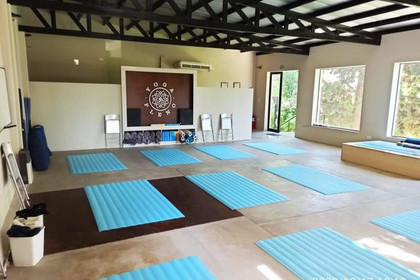 Imagen 1 de la galería del partner Yoga Pleno