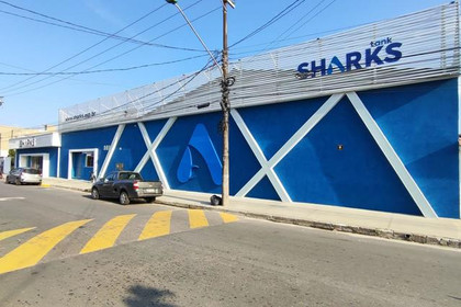 Imagem 2 da galeria do parceiro Sharks