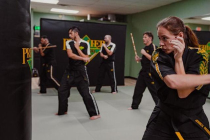 Image 2 from Premier Martial Arts West Loop partner gallery