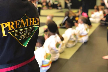 Image 4 from Premier Martial Arts West Loop partner gallery