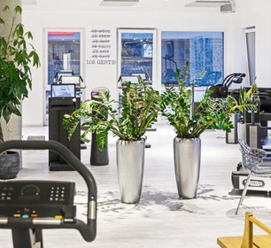 Bild 5 von Gesundheits- und Sportzentrum Frintrop - Training Partnergalerie