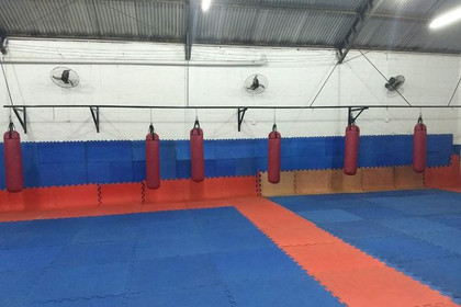 Imagem 1 da galeria do parceiro Kickboxing Gambá Team
