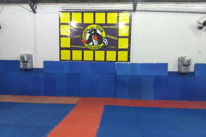 Imagem 3 da galeria do parceiro Kickboxing Gambá Team