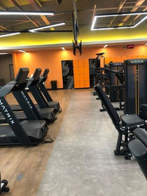 Imagem 4 da galeria do parceiro B7 Body Fitness Sao Paulo