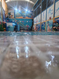 Imagen 2 de la galería del partner CAAT Escuela de Natación