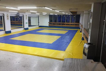 Imagen 1 de la galería del partner Tecno Judo & Jiu Jitsu Fernández, A. C.