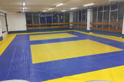 Imagen 2 de la galería del partner Tecno Judo & Jiu Jitsu Fernández, A. C.