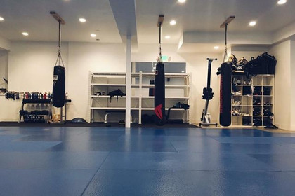 Image 3 from Mat Chess Mixed Martial Arts partner gallery