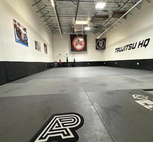 Image 3 from Trujitsu Bakersfield Brazilian Jiu Jitsu - Northwest partner gallery