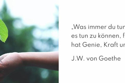 Bild 2 von LebensLotsin Coaching Hamburg Partnergalerie