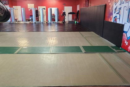 Image 5 from Kingman Riot MMA partner gallery