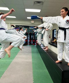 Image 5 from New Visions Dojo partner gallery