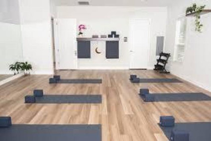 Image 1 from Moonshine Yoga Cedar Park partner gallery
