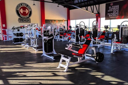 Imagen 4 de la galería del partner Elite Pro Gym Country