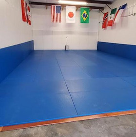 Image 3 from Active Jiu Jitsu partner gallery