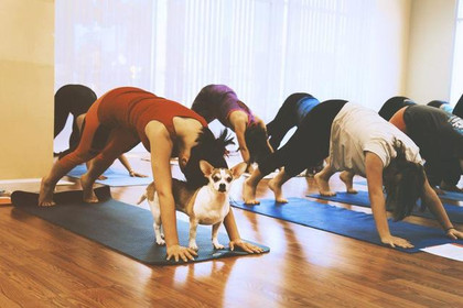 Image 6 from Jiaren Yoga Studio partner gallery
