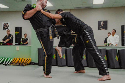 Image 4 from Premier Martial Arts Park Ridge partner gallery