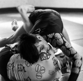 Image 2 from Definitive Jiu-Jitsu partner gallery